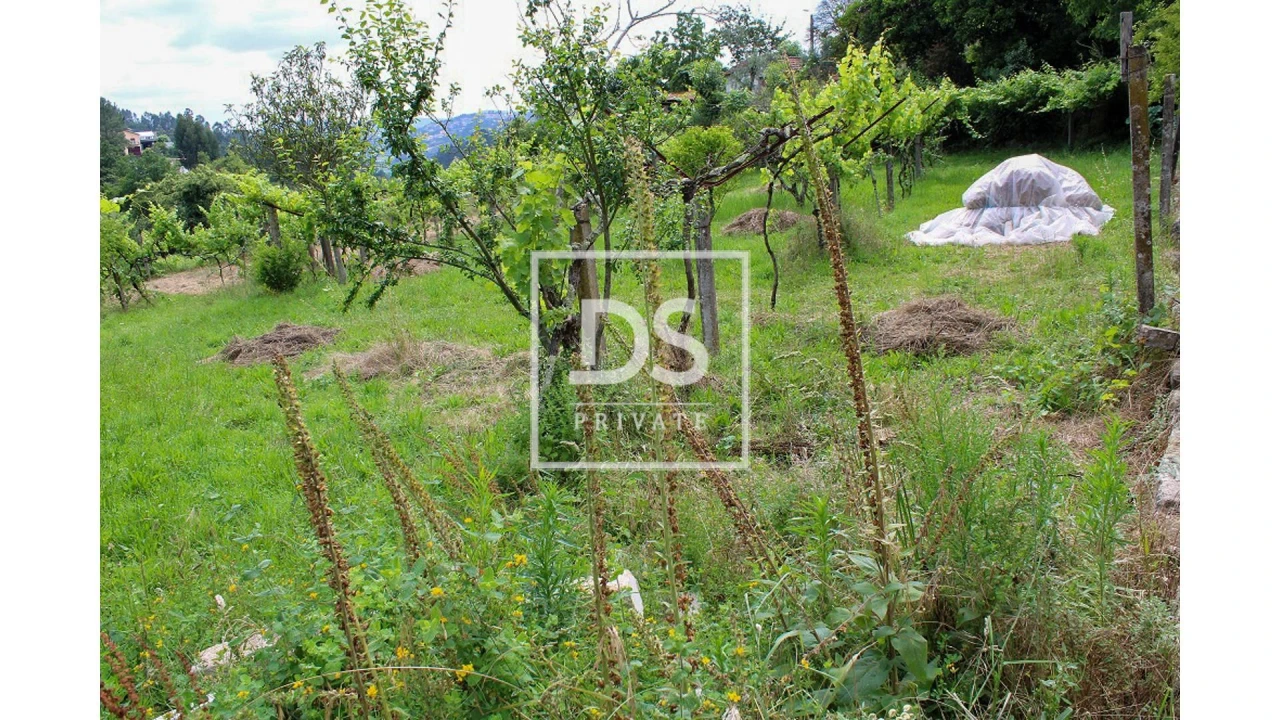Terreno Agricola ou Rústico para Venda em Souselo Foto 4