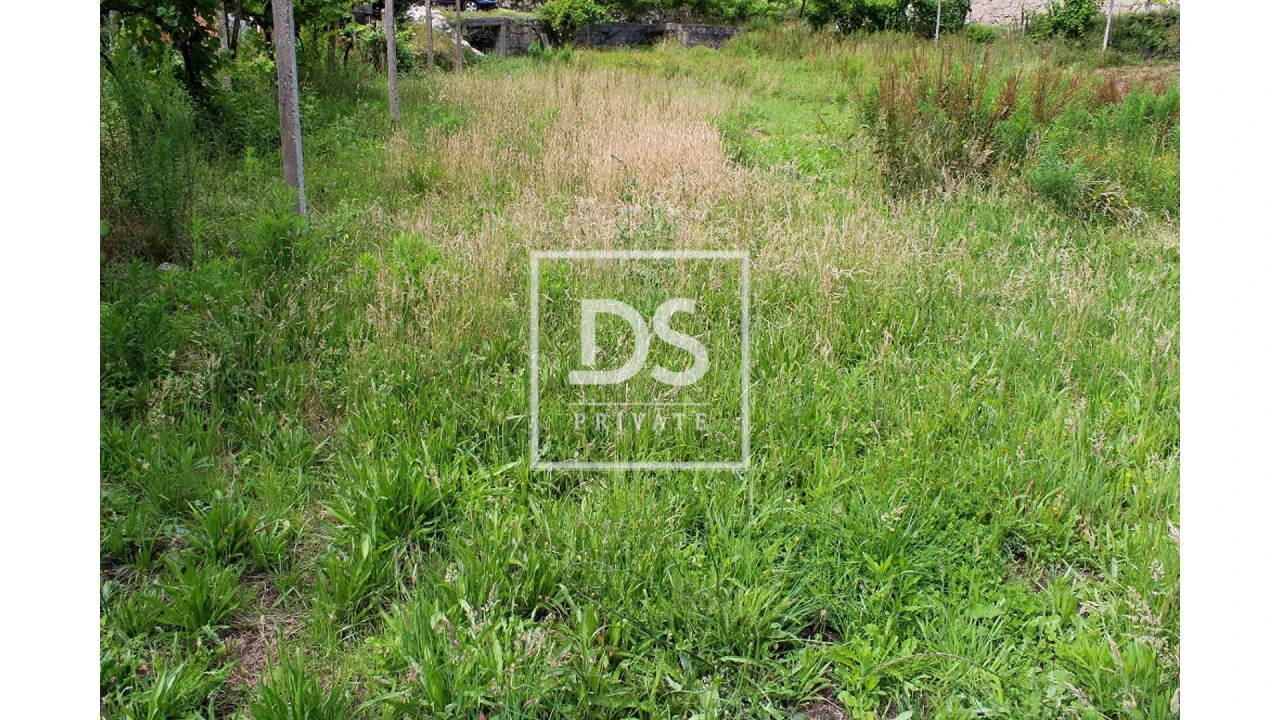 Terreno Agricola ou Rústico para Venda em Souselo Foto 12