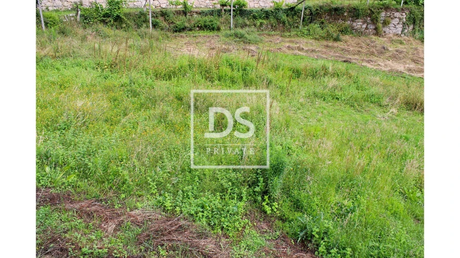 Terreno Agricola ou Rústico para Venda em Souselo Foto 8