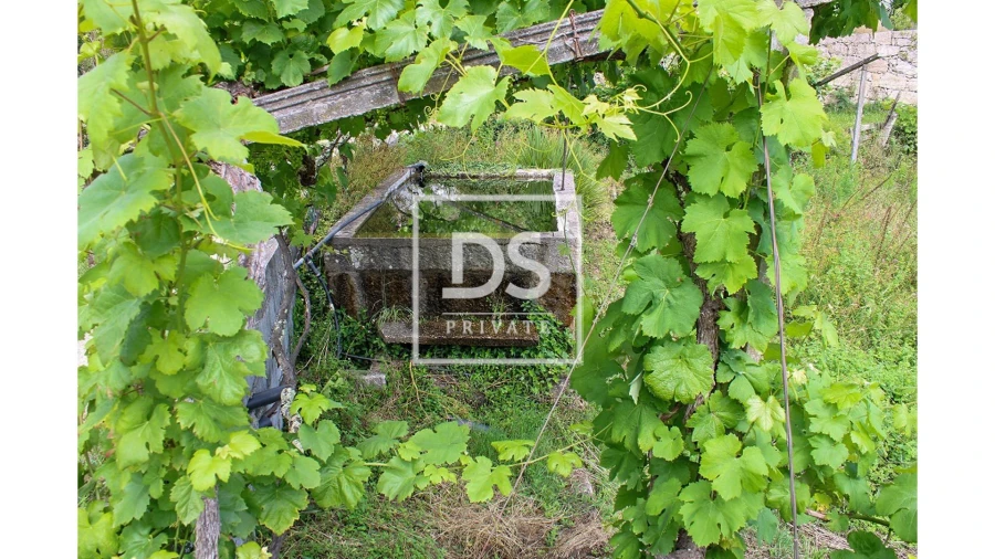 Terreno Agricola ou Rústico para Venda em Souselo Foto 9