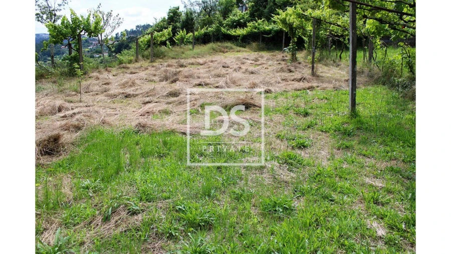 Terreno Agricola ou Rústico para Venda em Souselo Foto 14