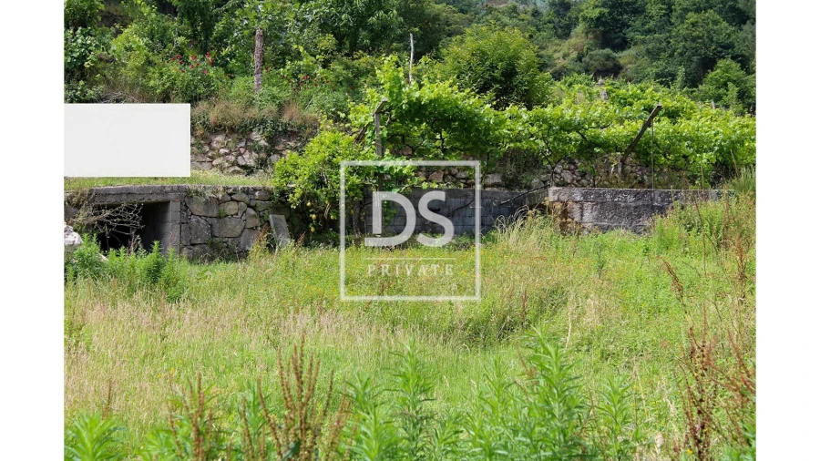 Terreno Agricola ou Rústico para Venda em Souselo Foto 2