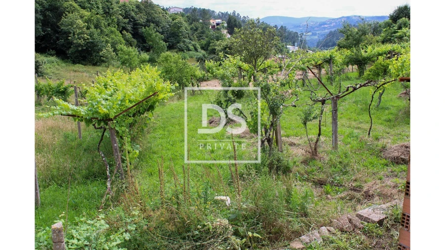 Terreno Agricola ou Rústico para Venda em Souselo Foto 3