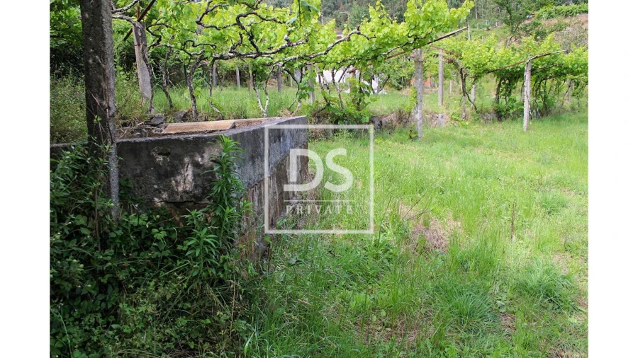 Terreno Agricola ou Rústico para Venda em Souselo Foto 7