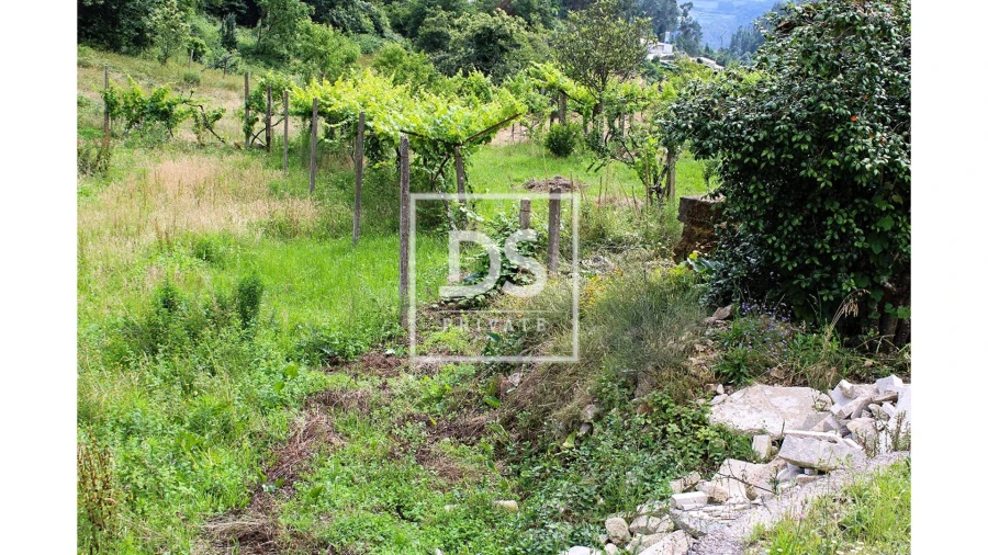 Terreno Agricola ou Rústico para Venda em Souselo Foto 6