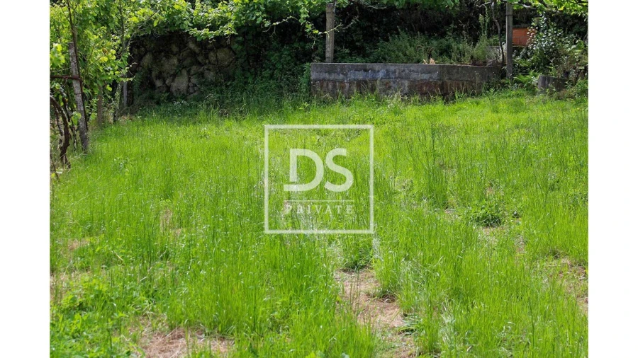 Terreno Agricola ou Rústico para Venda em Souselo Foto 13