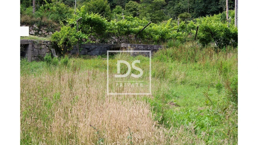 Terreno Agricola ou Rústico para Venda em Souselo Foto 19