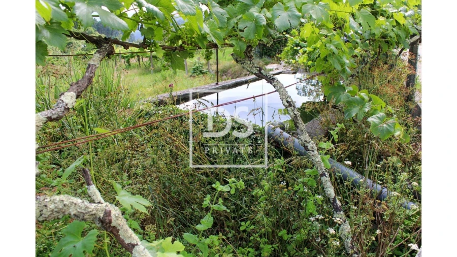 Terreno Agricola ou Rústico para Venda em Souselo Foto 17