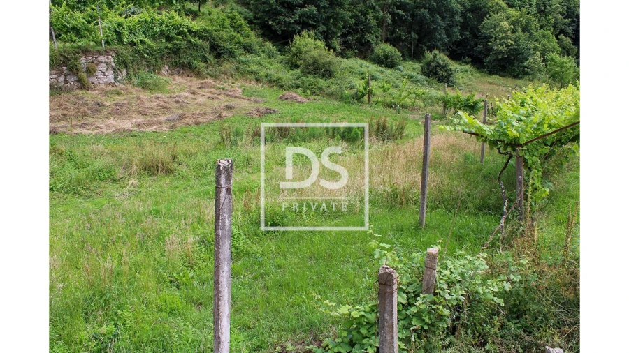 Terreno Agricola ou Rústico para Venda em Souselo Foto 18