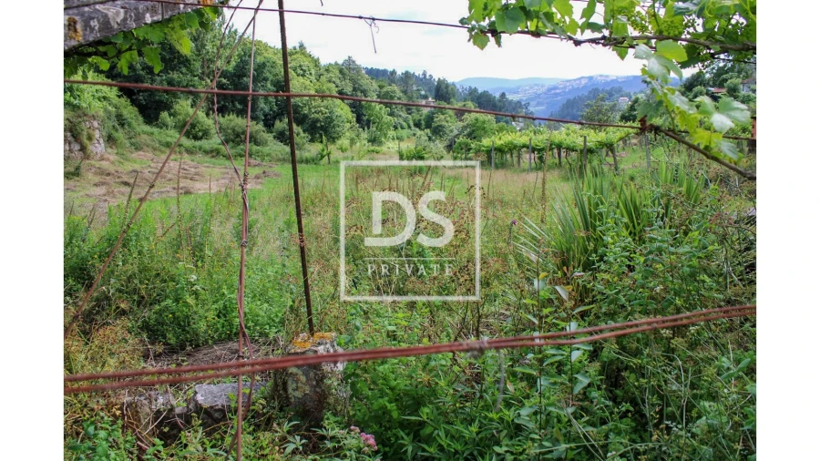 Terreno Agricola ou Rústico para Venda em Souselo Foto 22