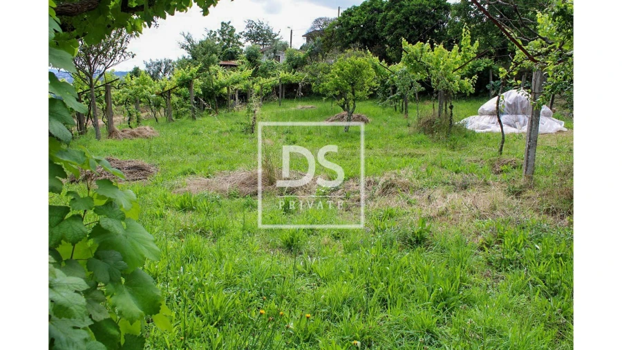 Terreno Agricola ou Rústico para Venda em Souselo Foto 10