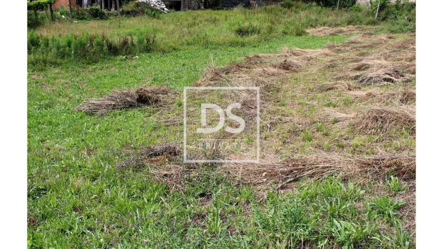 Terreno Agricola ou Rústico para Venda em Souselo Foto 5