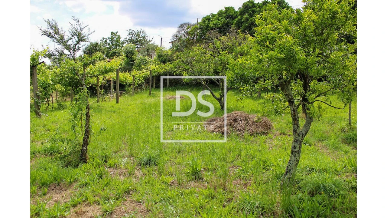 Terreno Agricola ou Rústico para Venda em Souselo Foto 21