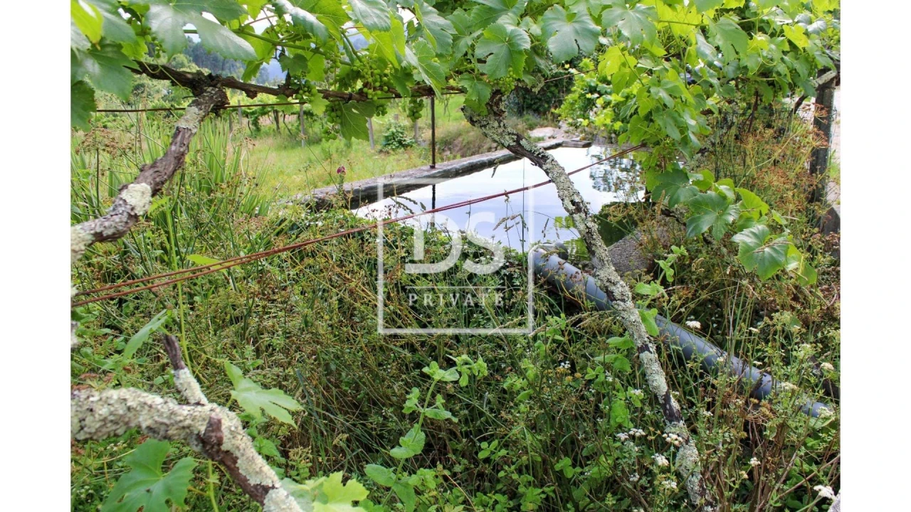 Terreno Agricola ou Rústico para Venda em Souselo Foto 17