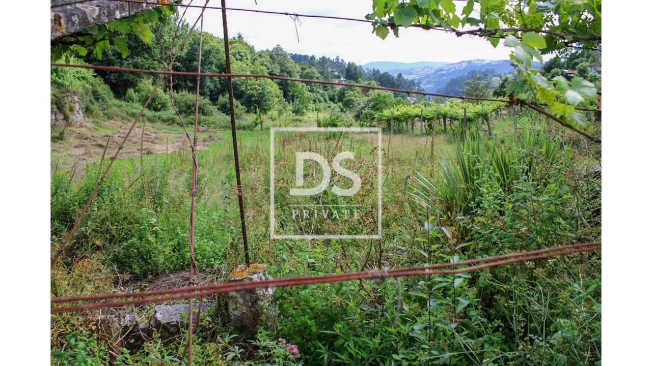 Terreno Agricola ou Rústico para Venda em Souselo Foto 22