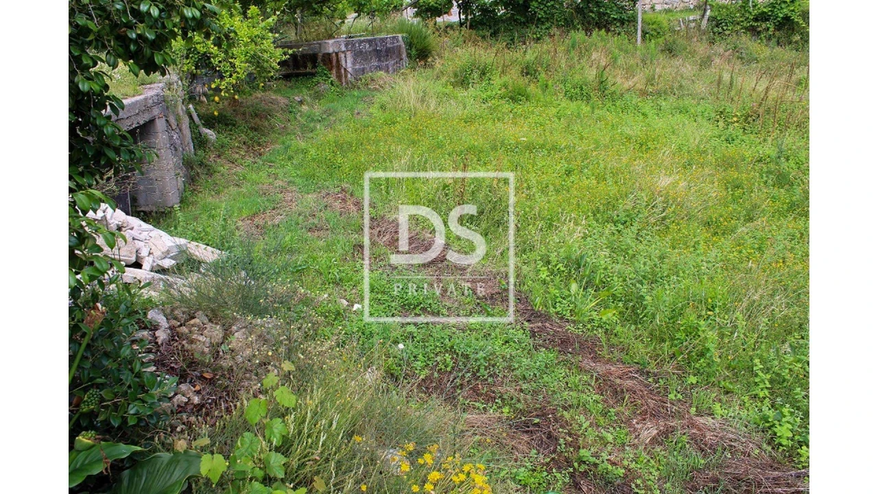 Terreno Agricola ou Rústico para Venda em Souselo Foto 20