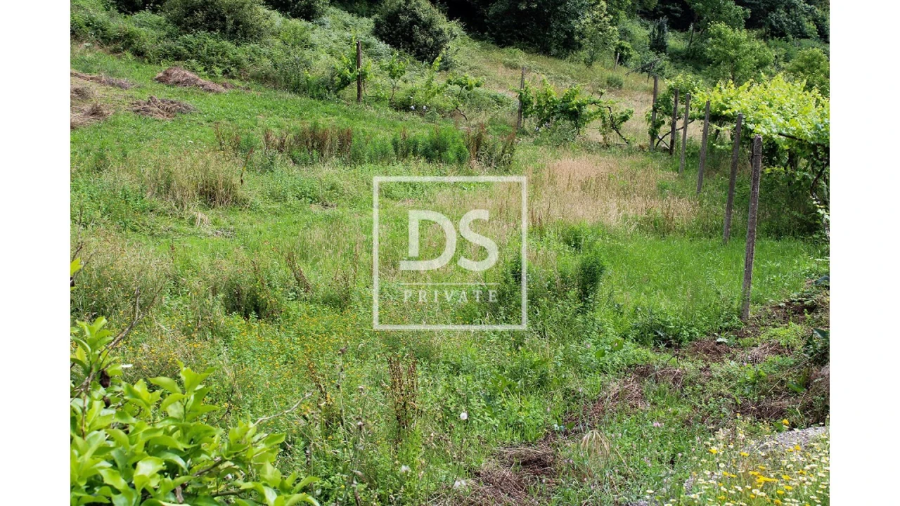 Terreno Agricola ou Rústico para Venda em Souselo Foto 15