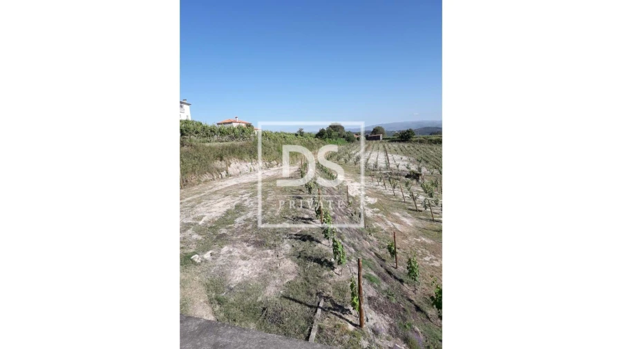 Terreno Agricola ou Rústico para Venda em Gove Foto 3