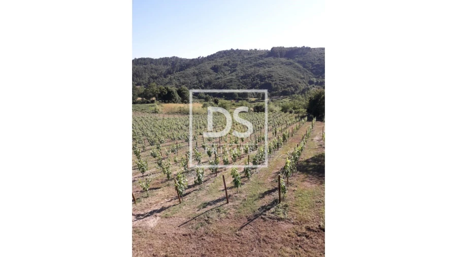 Terreno Agricola ou Rústico para Venda em Gove Foto 1