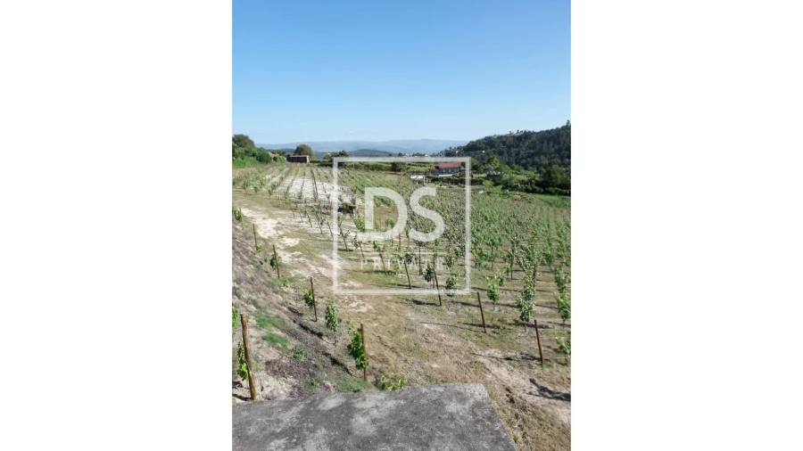 Terreno Agricola ou Rústico para Venda em Gove Foto 2