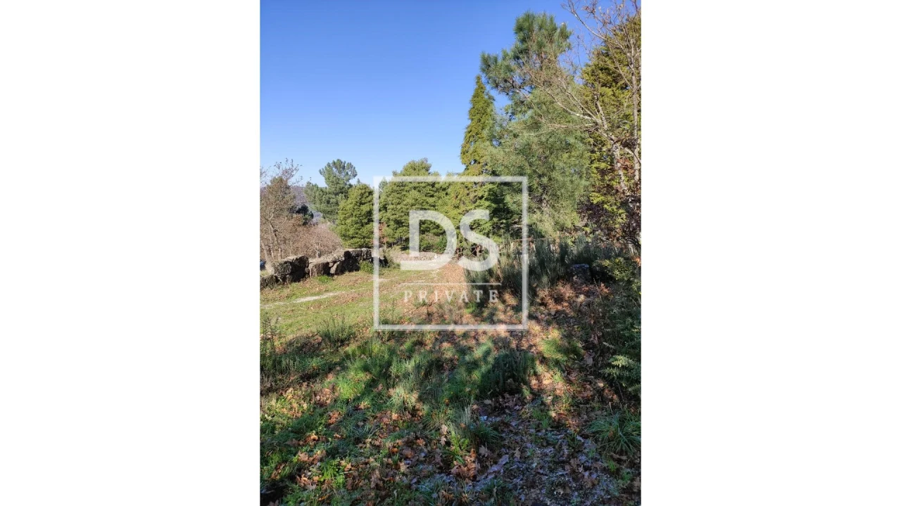 Terreno Agricola ou Rústico para Venda em Soalhães Foto 6