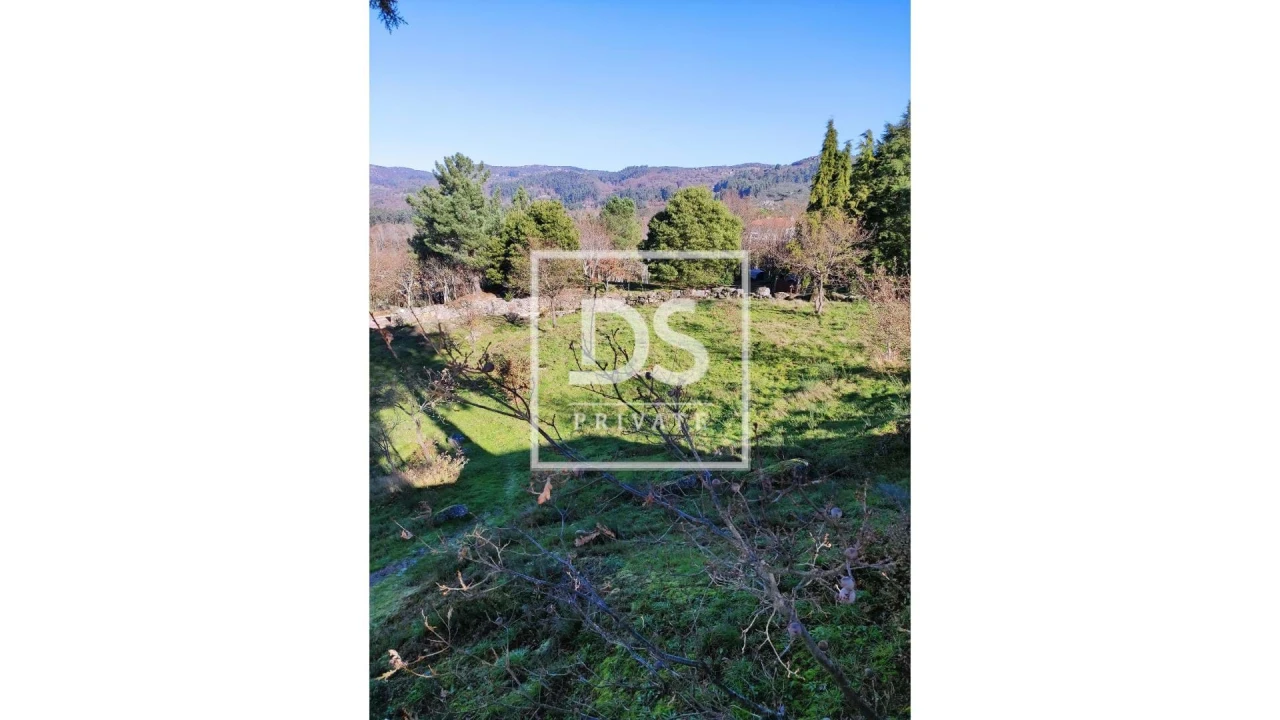 Terreno Agricola ou Rústico para Venda em Soalhães Foto 7