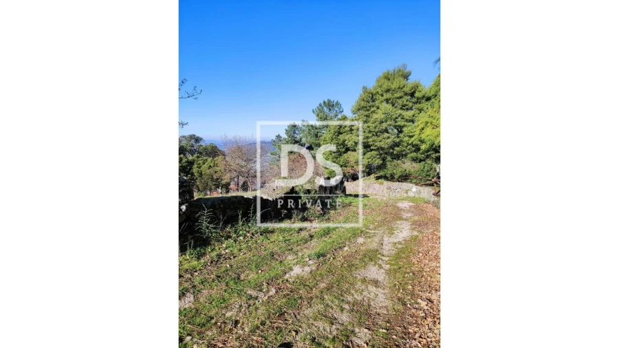 Terreno Agricola ou Rústico para Venda em Soalhães Foto 4