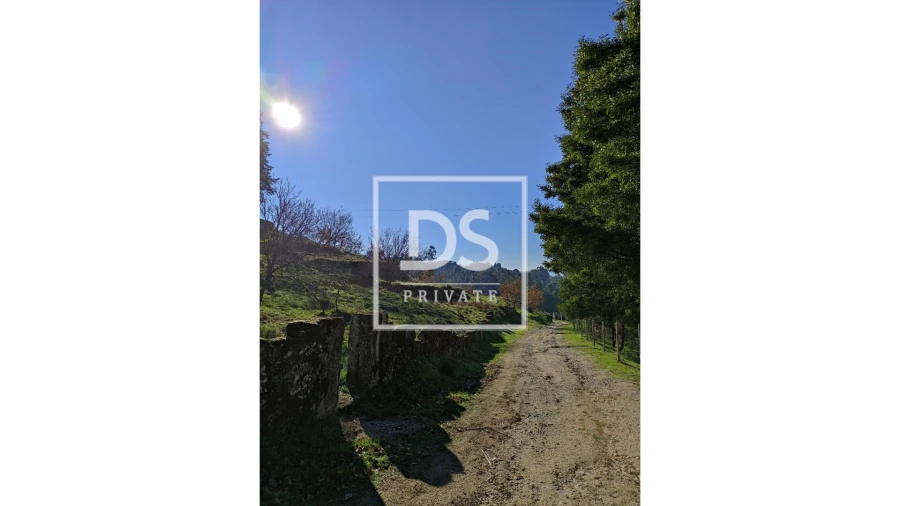 Terreno Agricola ou Rústico para Venda em Soalhães Foto 1