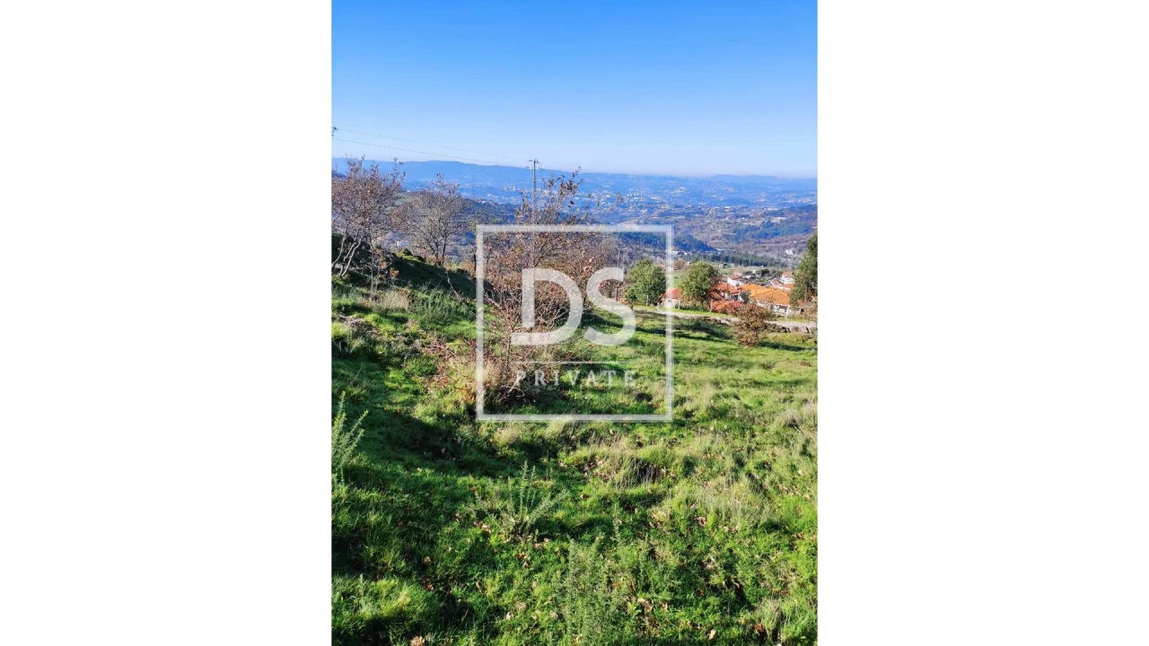 Terreno Agricola ou Rústico para Venda em Soalhães Foto 9