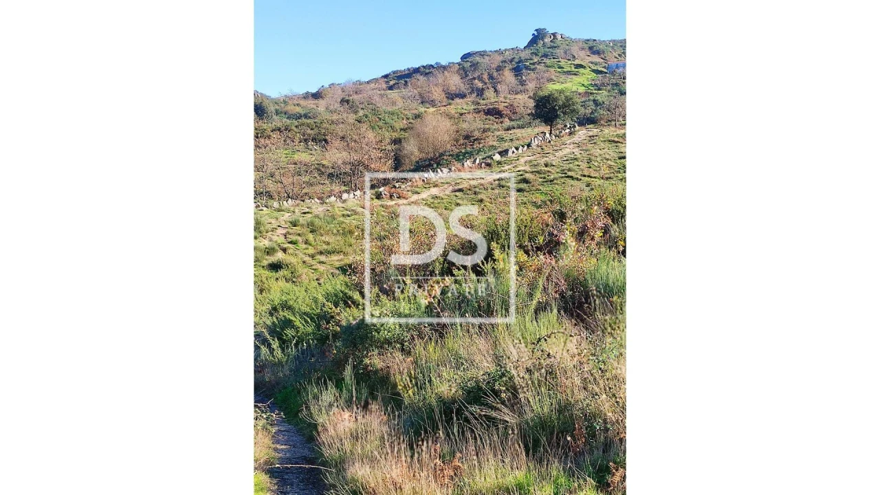 Terreno para Venda em Soalhães Foto 4