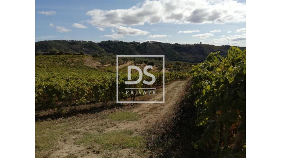 Quinta para Venda em Cumieira Foto 13