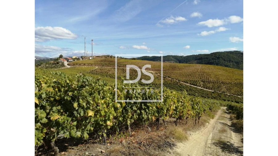 Quinta para Venda em Cumieira Foto 11