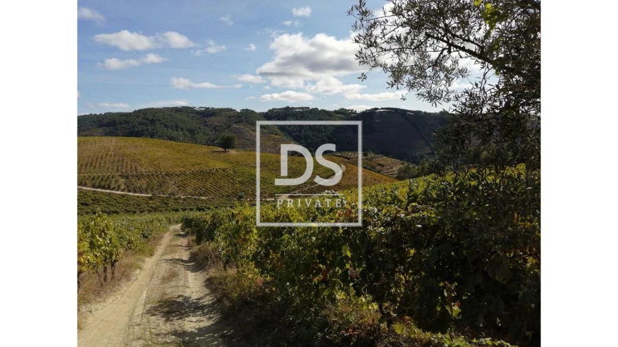 Quinta para Venda em Cumieira Foto 12