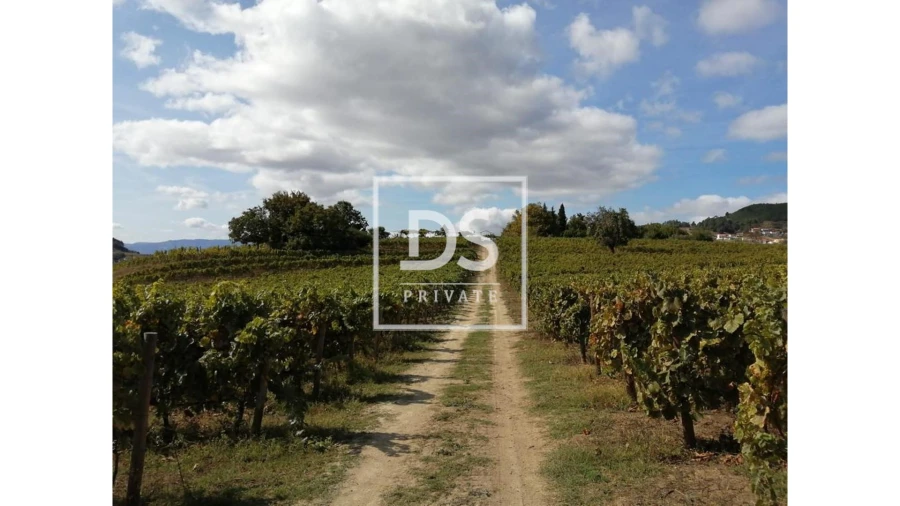 Quinta para Venda em Cumieira Foto 9