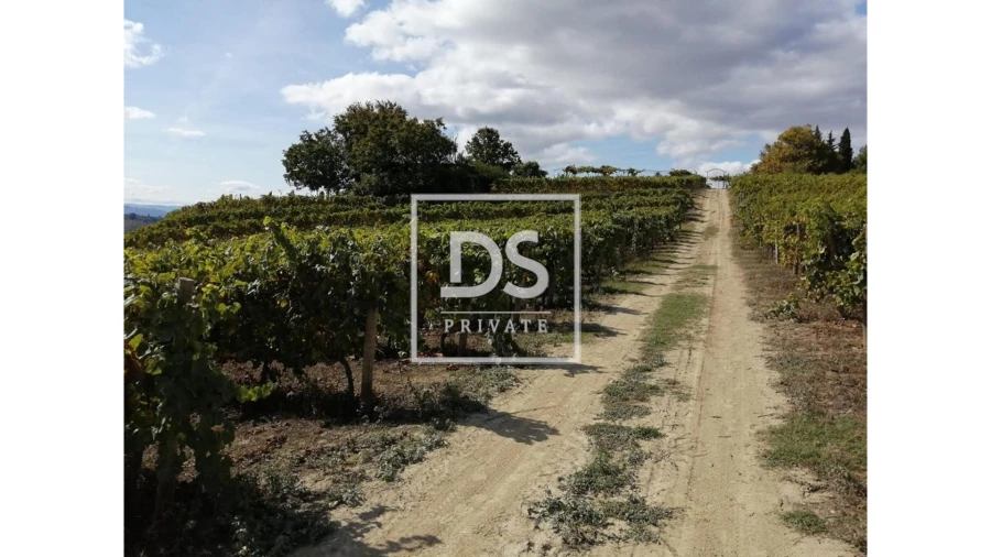 Quinta para Venda em Cumieira Foto 14