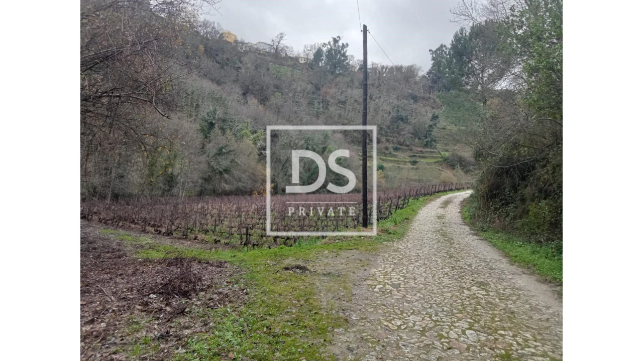 Quinta para Venda em Louredo e Fornelos Foto 20