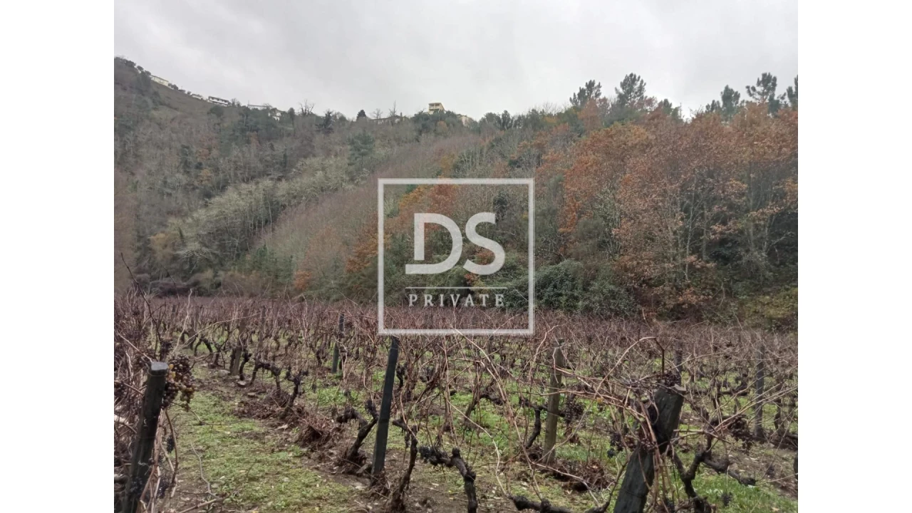 Quinta para Venda em Louredo e Fornelos Foto 15