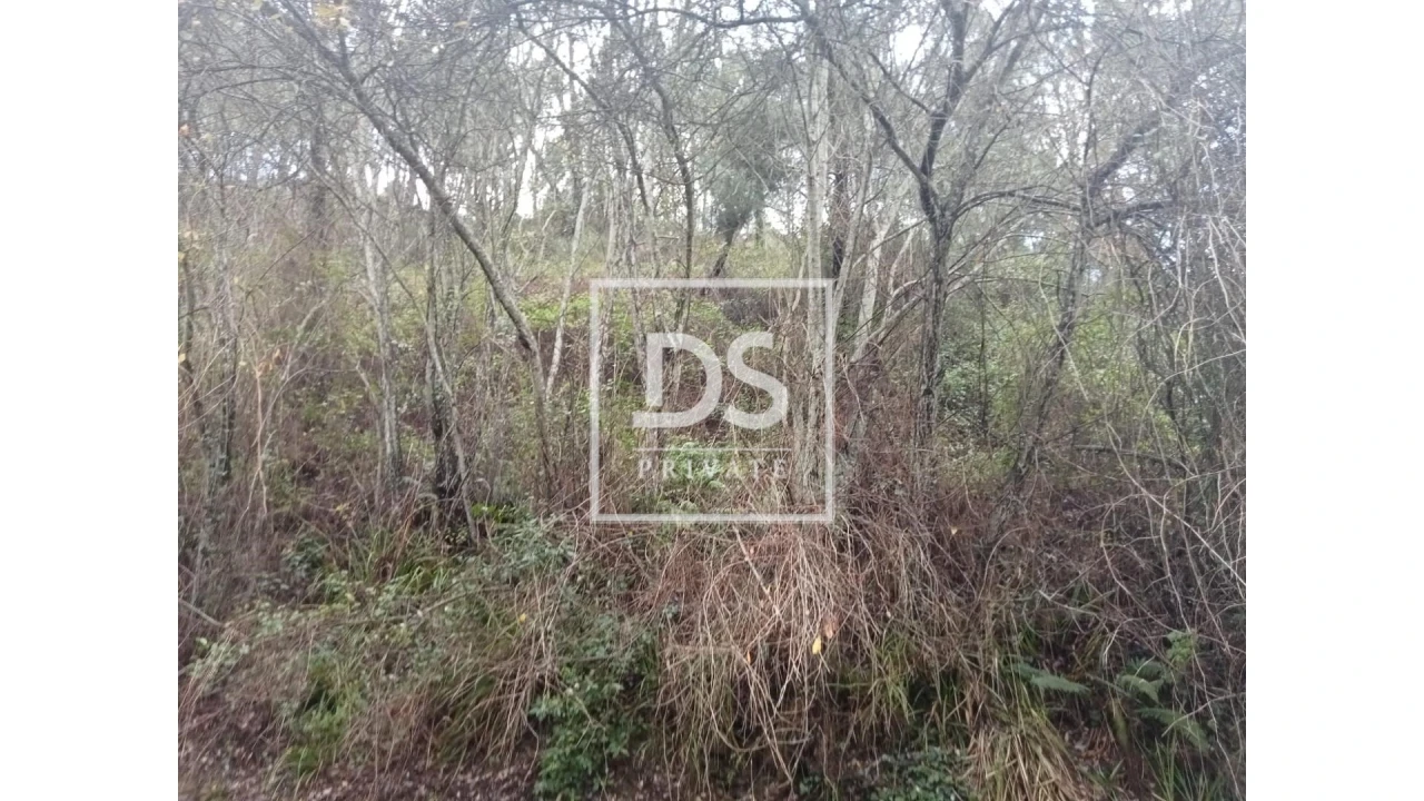 Quinta para Venda em Louredo e Fornelos Foto 4