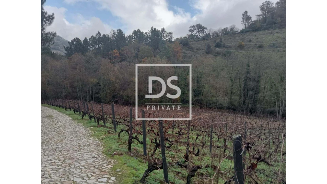 Quinta para Venda em Louredo e Fornelos Foto 22