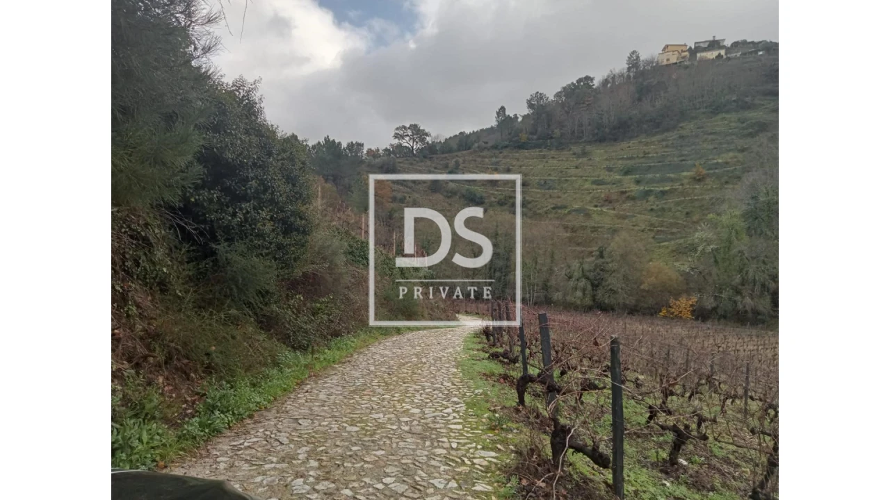 Quinta para Venda em Louredo e Fornelos Foto 23