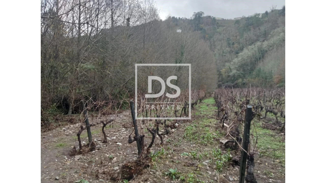 Quinta para Venda em Louredo e Fornelos Foto 13