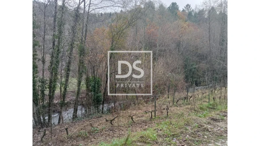 Quinta para Venda em Louredo e Fornelos Foto 2