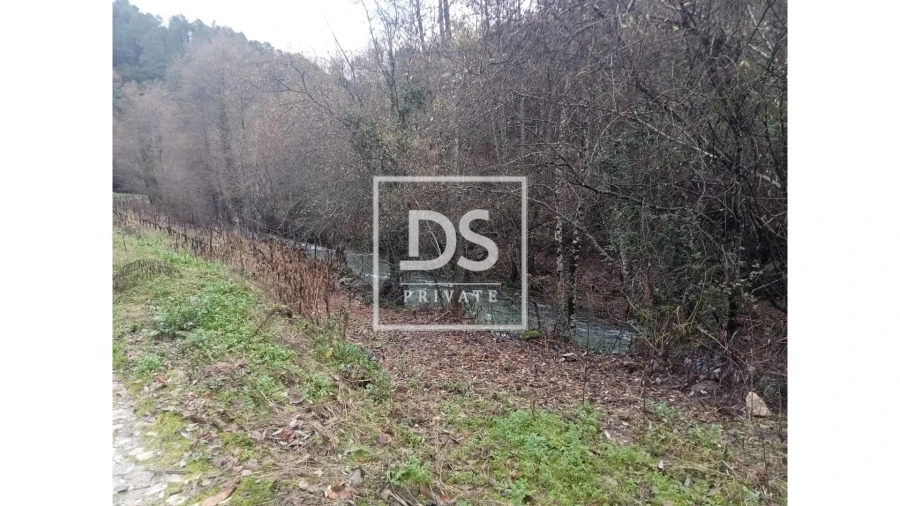 Quinta para Venda em Louredo e Fornelos Foto 19