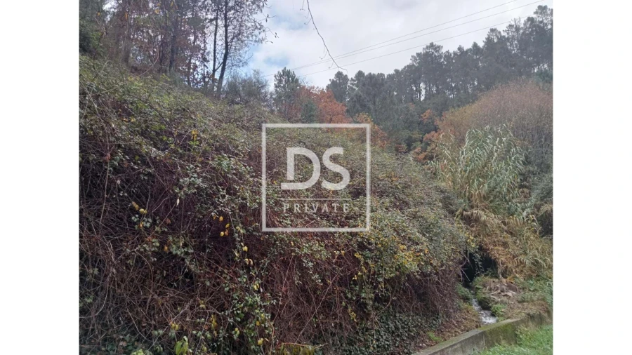 Quinta para Venda em Louredo e Fornelos Foto 3