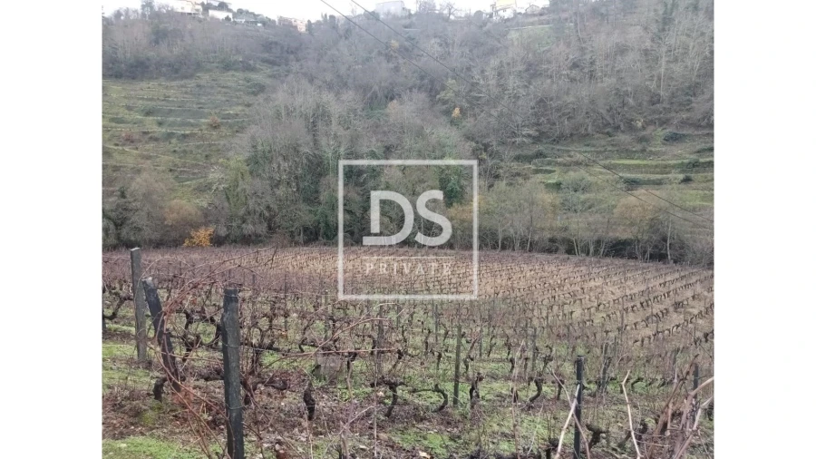 Quinta para Venda em Louredo e Fornelos Foto 1