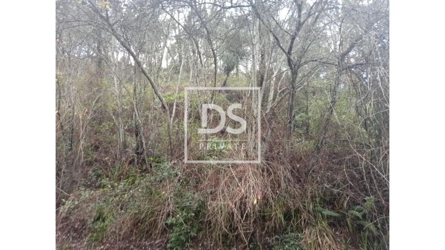 Quinta para Venda em Louredo e Fornelos Foto 4