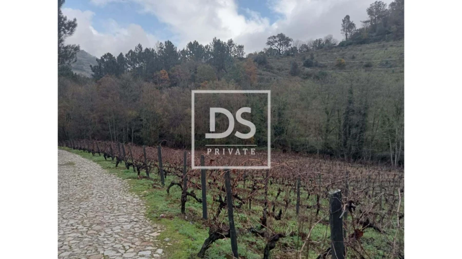 Quinta para Venda em Louredo e Fornelos Foto 22