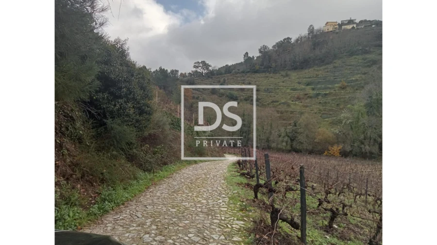 Quinta para Venda em Louredo e Fornelos Foto 23