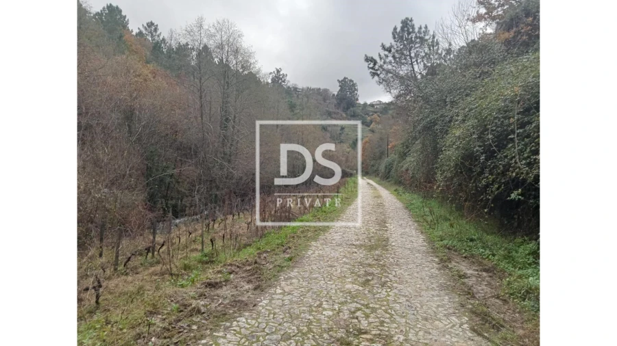 Quinta para Venda em Louredo e Fornelos Foto 6