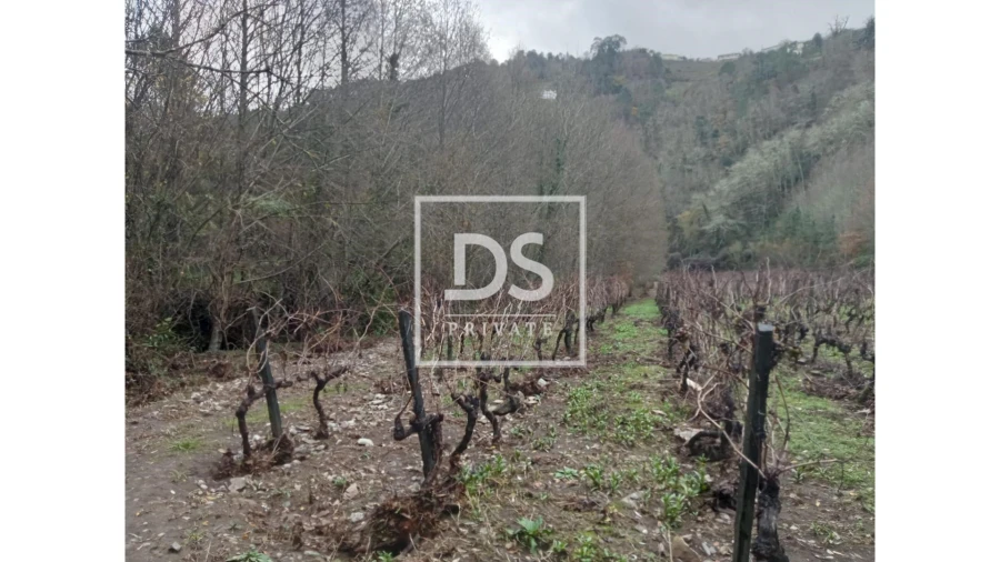 Quinta para Venda em Louredo e Fornelos Foto 13